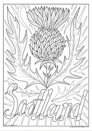 Thistle National Flower of Scotland Colouring Page Scottish Coloring Pages, Thistle Drawing Simple, Scotland Coloring Pages, Scotland Drawing, Scottish Crafts, Thistle Painting, Scottish Thistle Tattoo, Burns Day, Scotland National Flower