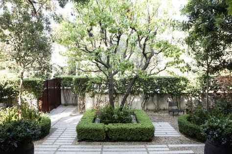 Lawn Free Landscaping, Pea Gravel Patio, Gravel Patio, Front Garden Landscape, Pea Gravel, Home Landscaping, Front Garden, Urban Garden, Small Garden