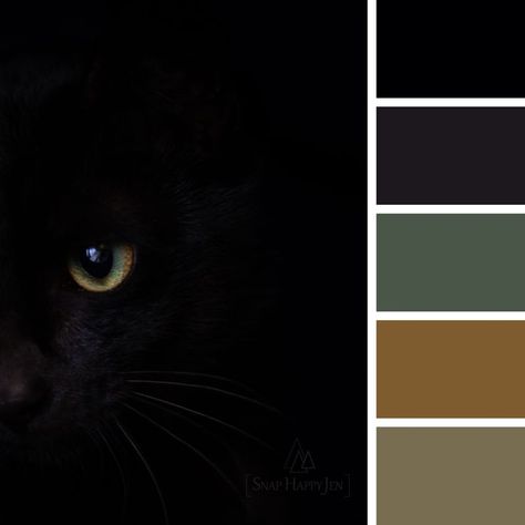 Earthy Color palette inspired by this black cat image. Black Cat Color Palette, Character Palette, Design Seeds Color Palette, Seeds Color Palette, Black Cat Images, Blending Board, Caracal Cat, Seeds Color, Black Jaguar