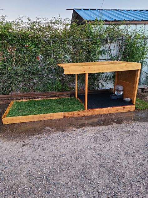 Dog Space In Garage, Outdoor Dog Spaces, Shade For Dogs, Dog Pen Outdoor, Dog Potty Area, Dog Space, Outdoor Dog House, Dog Spaces, Dog Toilet