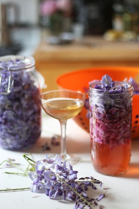 Wisteria Recipes, Wisteria Syrup, Edible Flowers In Drinks, Drinks With Butterfly Pea Flower, Floral Drinks Edible Flowers, Wisteria Magical Properties, Edible Flower Garden, Dandelion Benefits, Cordial Recipe