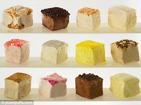 'Marshmallows are the new cupcakes': Gourmet sugary puffs set to take New York's artisan bakeries by storm Gourmet Marshmallows, Homemade Marshmallow Recipe, Gourmet Bakery, Gourmet Marshmallow, Flavored Marshmallows, Chocolate Diy, Bite Size Desserts, Recipes With Marshmallows, Homemade Marshmallows