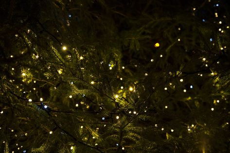 Thanks to @JoannaKosinska for making this photo available freely on @unsplash 🎁 Christmas Lights Background, Christmas Lights Wallpaper, Christmas Desktop Wallpaper, December Wallpaper, Christmas History, Background Desktop, Christmas Tree Wallpaper, Christmas Desktop, Christmas Wallpaper Backgrounds