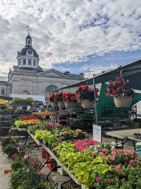 Kingston Ontario Aesthetic, Ontario Aesthetic, Best Baked Goods, Ontario Travel, Kingston Ontario, Ideal Life, History Lessons, Kingston, Ferry Building San Francisco