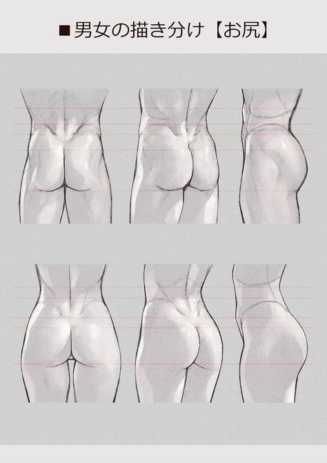 Lighting Reference, Anatomy Studies, Anatomy References, Anatomy Tutorial, Human Anatomy Drawing, Body Drawing Tutorial, Human Anatomy Art, Anatomy Sketches, Reference Drawing