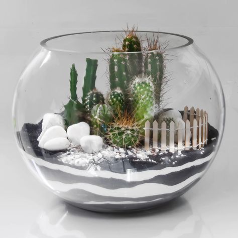 Terrarium Glass Sphere | carlos-marin-designer Crystal Terrarium Ideas, Open Terrarium Ideas, Plant Ideas Indoor, Fairy Garden Indoor, Sphere Terrarium, Glass Jar Diy, Glass Bowl Terrarium, Indoor Plant Ideas, Terrarium Design