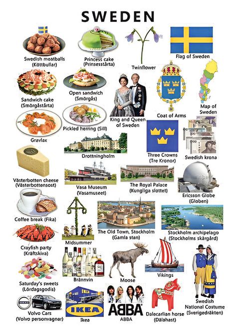 Travel Sweden, African History Facts, Europe Nature, Sweden Flag, Baltic Countries, Teaching Geography, Homeschool Geography, Travel Art Journal, Travel Infographic