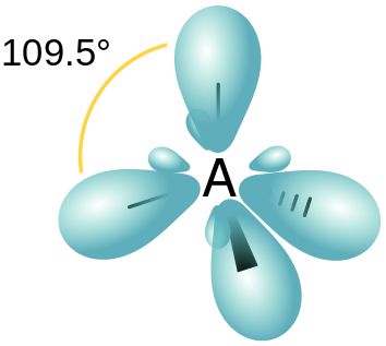 The key difference between pure and hybrid orbitals is that the pure orbitals are the original atomic orbitals whereas the hybrid orbitals form from the mixing of two or more atomic orbitals. The hybrid orbitals form via orbital hybridization, but pure orbitals are not hybridized. Atomic Orbitals, Vsepr Theory, Molecular Geometry, Wave Function, Linus Pauling, Hydrogen Atom, Covalent Bonding, Sigma Pi, Chemical Bond