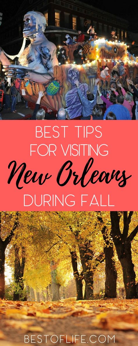 New Orleans Halloween French Quarter, Travel To New Orleans, New Orleans Things To Do In October, Thanksgiving In New Orleans, Free Things To Do In New Orleans, Fall In New Orleans, New Orleans Packing List Fall, New Orleans In October Outfits, Outfits For New Orleans Fall