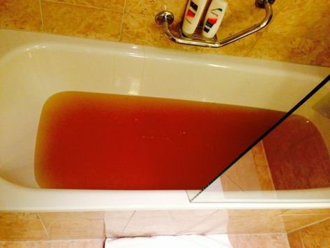 Period Blood In Toilet, Scary Hotel, Period Blood, Chinese Buddha, Hotel Branding, Hotel Rooms, What Happened, Prague, Budapest