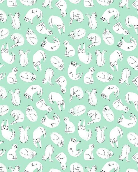 mourningdovestudios: Esther Lara Wallpaper Tumblr, Kitty Wallpaper, White Cats, Cats Illustration, Pretty Patterns, Cat Wallpaper, Cat Illustration, Pattern Illustration, Cat Pattern