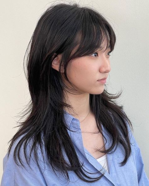 Curtain Bangs Jellyfish Haircut, Layer Hair Bangs, Haircut Ideas No Bangs, Low Layers Haircut, Medium Hush Cut With Bangs, Layer Haircut Long Hair, Hush Cut Hair Medium With Bangs, Asian Haircut Long Layers Straight Hair, Hush Cut With Wispy Bangs