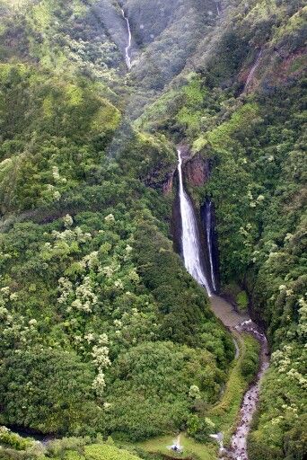 Isla Nublar Isla Nublar Aesthetic, Isla Nublar, Fallen Kingdom, Jurassic World Fallen Kingdom, Falling Kingdoms, Jurassic World, Jurassic Park, Planets, Water