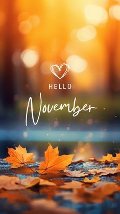 1 November 2024, Hello November Wallpaper Iphone, November Story Instagram, Hello November Images, Fall Season Wallpapers, Wallpapers For November, Hello November Wallpaper, New Month November, November Phone Wallpaper