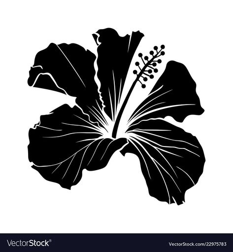 Hibiscus Flower Silhouette, Hibiscus Flower Drawing, Rose Black And White, Flower Symbol, Hawaiian Hibiscus, Flower Silhouette, Laser Engraved Ideas, Line Art Vector, Vector Flowers