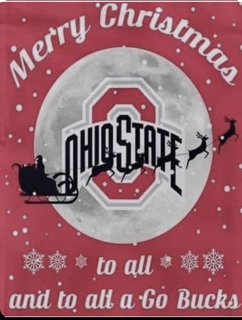 Ohio State Vs Michigan, Ohio State Wallpaper, Ohio State College, Osu Buckeyes Football, South Carolina Football, Michigan Christmas, Cheerleading Tshirts, Buckeye Baby, Carolina Football