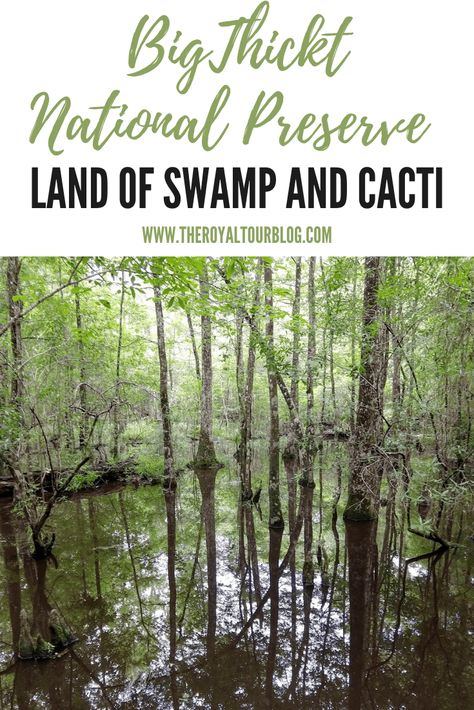 National Park Passport, Swamp Tours, Small Palm Trees, Bald Cypress, Small Palms, Desert Sun, Pitcher Plant, East Texas, Carnivorous Plants