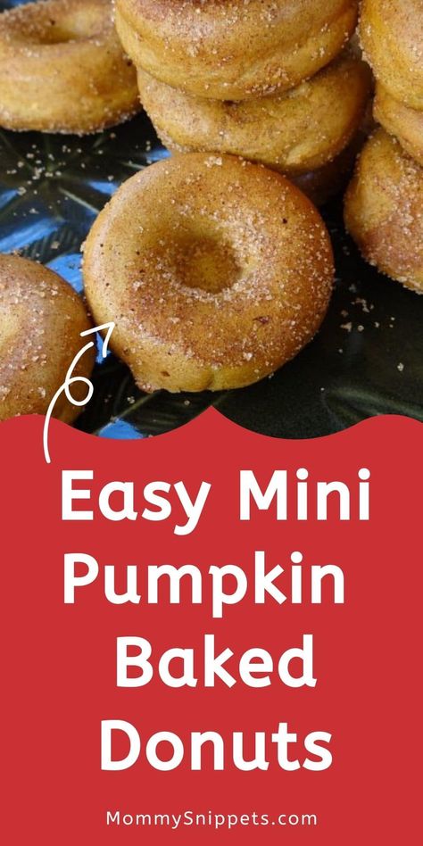 Pumpkin Donuts Baked, Mini Donut Recipes, Pumpkin Donuts Recipe, Mini Donuts Maker, Cake Donuts Recipe, Best Bread Machine, Easy Donuts, Healthy Donuts, Donut Recipe