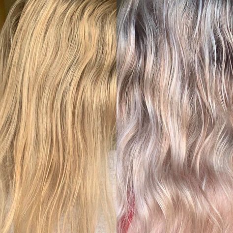 Blue Shampoo for Orange Roots Before-After Picture Bad Bleached Hair, Bleach Wash Hair, Bleach Bath Hair, Best Blue Shampoo, Orange To Blonde Hair, Bleaching Hair, Blue Shampoo, Warm Hair Color, Brassy Hair