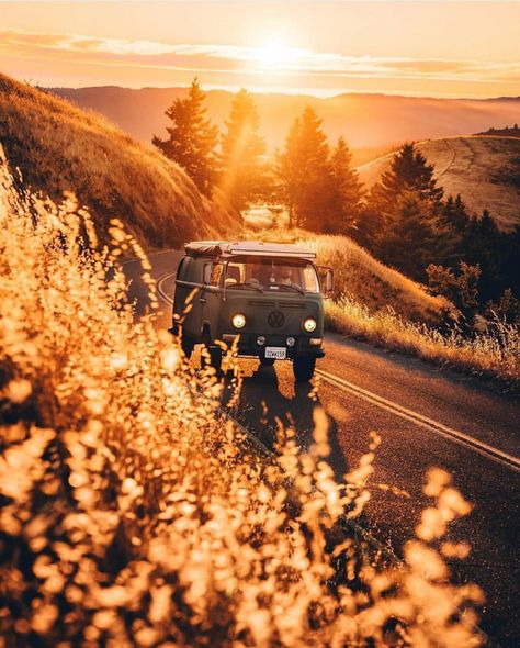 Volkswagen Hippie Van, Travel Van, Radiohead, Travel Aesthetic, 그림 그리기, Van Life, Travel Dreams, State Parks, Beautiful Nature