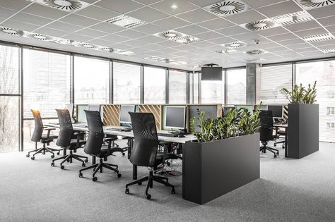 Open Office Design, Open Space Office, Cool Office Space, Modern Office Space, Modern Office Interiors, Corporate Office Design, Office Space Design, Comfortable Office, Modern Office Design