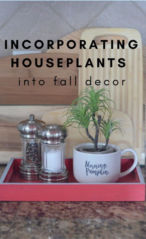 How+to+Use+Houseplants+in+Fall+Decor+-+Fall+Home+Tour+-+Fall+Decorations+-+Indoor+Plants+-+The+Gifted+Gabber Fall Plant Decor Indoor, Houseplants Aesthetic, Fall On A Budget, Indoor Green Plants, Houseplants Decor, Decorating For Fall, Fall Home Tour, The Gifted, Plant Decor Indoor