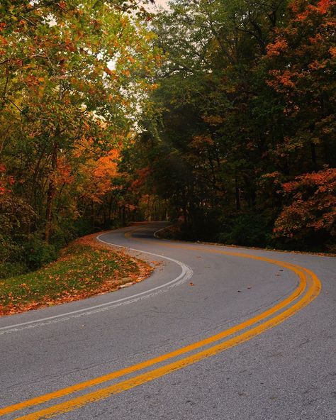 📸 Explore Indy on Instagram: “Fall in Eagle Creek 🍁 #indiana #indianapolis #downtownindy #indy #exploreindy #do317 #photooftheday #indyphotography #indyphotographer…” Indianapolis Aesthetic, Indiana Core, University Of Indianapolis, Midwest Gothic, Eagle Creek, Fall Wallpaper, Indiana, Country Roads, University