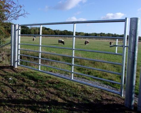 Stock Fencing Stock Fencing, Galvanized Steel, Fence, Gate, House Design, Design