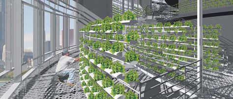 Volumetric Architecture, Vertical Hydroponics, Indoor Farming, Farm Products, Modern Agriculture, Industrial District, Futuristic Home, Vertical Farming, Urban Agriculture