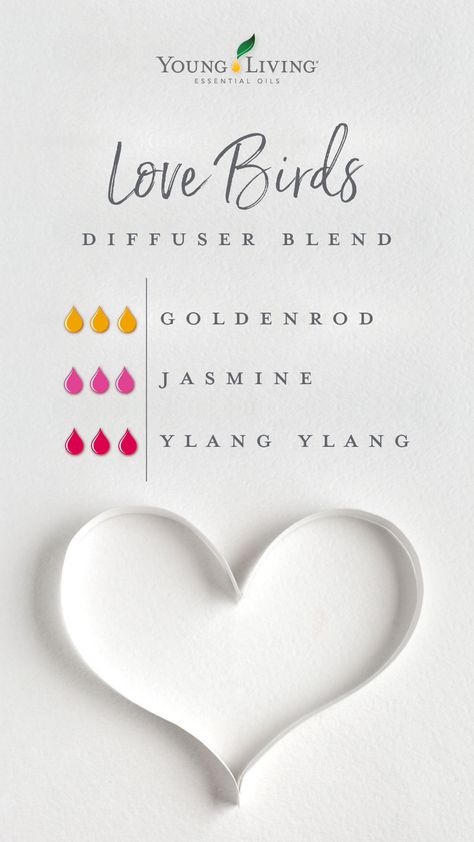 Cuddle up to your true love with this romantic Love Birds diffuser blend! Create a cozy night in with the unifying blend of Goldenrod and the rich florals of Ylang Ylang and Jasmine essential oils. #valentinesday #holidaydiffuser #diffuserblends #datenight #mood #aromatherapy #essentialoils #yleo Goldenrod Essential Oil Young Living, Goldenrod Essential Oil, Young Living Diffuser, Young Living Essential Oils Recipes, Jasmine Essential Oil, Essential Oil Diffuser Recipes, Oil Diffuser Recipes, Yl Essential Oils, Essential Oil Blends Recipes