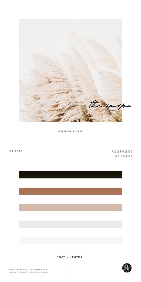 a #neutral soft-grass-inspired-color-palette — Akula Kreative Creative Brands, Color Palette Inspiration, Beige Color Palette, Modern Brands, Black Color Palette, Gold Color Palettes, Brown Color Palette, Palette Inspiration, Brand Color Palette