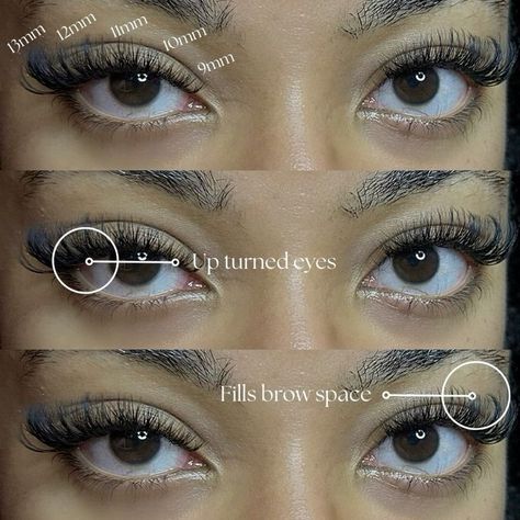 Round Eye Lash Extensions Map, Lash Mapping For Big Eyes, Babydoll Lash Map, Round Eye Lash Map, Doe Eye Lash Map, Almond Eye Lash Map, Lash Map Doll Eye, Lashes For Almond Eyes, Cat Eye Lash Map