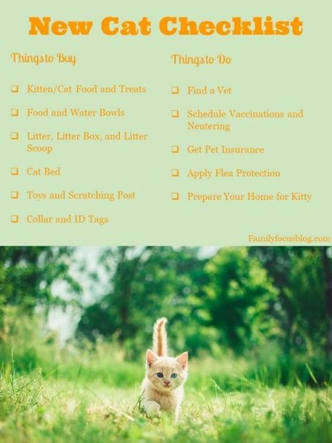 Cat Adoption Checklist, Cat Mom Tips, Caring For Cats, Adopting A Cat Checklist, Owning A Cat For The First Time, Tips For Cat Owners, First Cat Checklist, Cat Needs List, Cat Essentials List