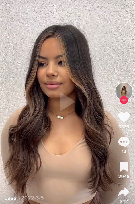 Subtle Highlights With Money Piece, Subtle Money Piece, Brown Hair With Money Piece, Hair Inspiration Brunette, Brown Hair Dark Skin, Latina Hair, Black Hair Balayage, Brown Hair Looks, Brown Hair Inspo