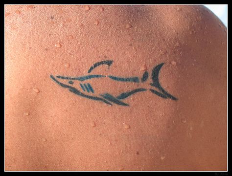 <3 Shark Tattoo Shoulder, Tattoo Designs Shoulder, Shark Makeup, Tattoo Shoulder Blade, Shoulder Blade Tattoos, Simple Shark Tattoo, Neat Tattoos, Tattoo Stamps, Tattoos Creative