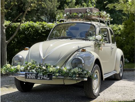 Vw Aircooled, Vintage Vw, Wedding Color Palette, Vw Bug, Vw Beetles, Just Married, Wedding Colors, Antique Cars, Dream Wedding