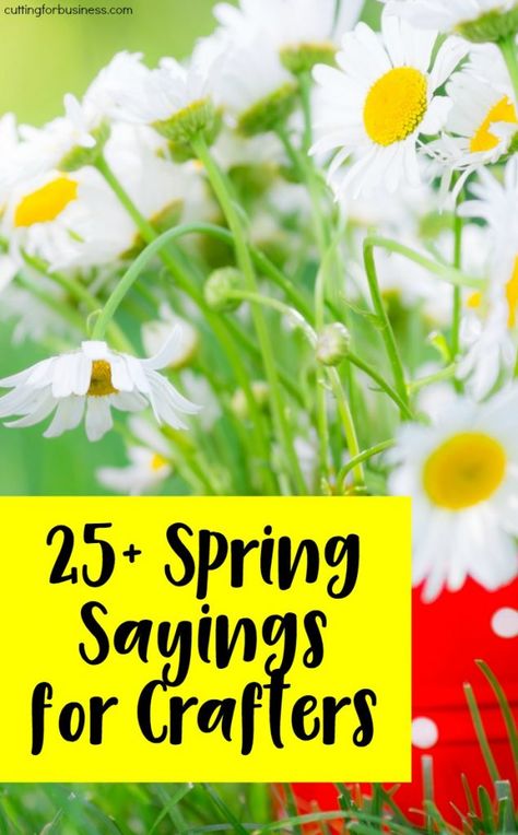 25+ Spring Sayings for Crafters - Perfect for Silhouette Cameo or Cricut Explore Business Owners - by cuttingforbusiness.com Spring Sayings For Signs, Sayings For Signs, Spring Sayings, Easter Wood Crafts, Spring Words, Spring Quotes, Easter Quotes, Summer Signs, Card Sayings