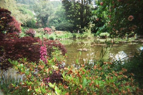 french countryside. french countryside aestetic. french core aesthetic. flowers. flowers aestetic.japanese garden. French Core Aesthetic, French Suburbs, French Core, Aesthetic Flowers, French Countryside, + Core + Aesthetic, Country Farm, Japanese Garden, Art Inspo