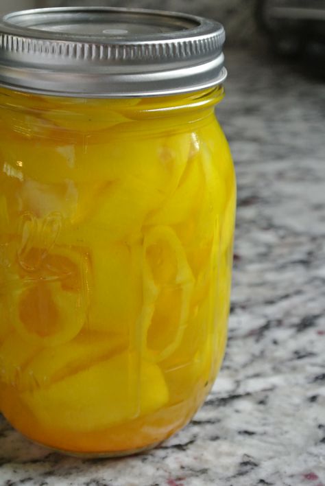 Organic Canning: Pickled Banana Peppers Pickle Banana Peppers Recipe, Wax Peppers, Recipes With Banana Peppers, Sweet Banana Peppers, Pickled Banana Peppers, Pickled Foods, Natures Bounty, Pickled Peppers, Canning Pickles