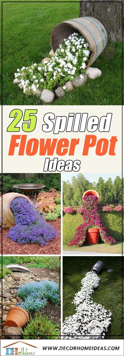 Diy Flower Pot, Flower Pot Ideas, Pot Ideas, Flower Pots Outdoor, Small White Flowers, Homestead Survival, Container Flowers, Colorful Garden, Flower Photos