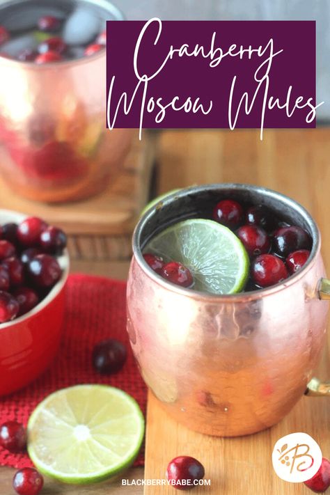 Cranberry Moscow Mule Recipe