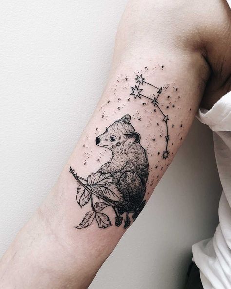 Little Dipper and bear tattoo inked on the right arm by Finley Jordan Little Dipper Tattoo, Dipper Tattoo, Baby Bear Tattoo, Bear Tattoo Ideas, Tattoo Bear, Baby Tattoo Designs, Bear Tattoos, Big Dipper, Leg Tattoos Women