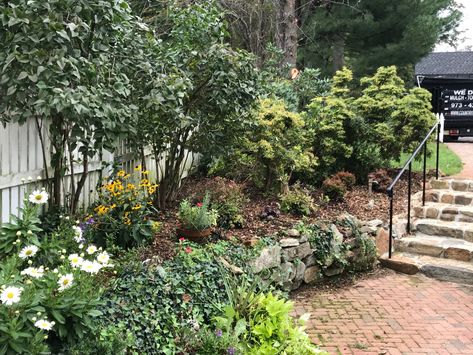 A Charming Classic Colonial Garden | Country Mile Gardens Mailbox Garden, Colonial Garden, Deer Resistant Plants, Bird Bath Garden, Landscape Designer, Top Soil, Flowering Shrubs, Fish Pond, Garden Fencing