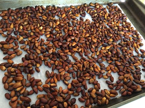 Little Miss Suzy Q: How to Roast Pine Nuts in Shell Toasted Pine Nuts How To, How To Roast Pine Nuts In Oven, Roasted Pine Nuts How To, Pinon Recipe, Nuts Quotes, Suzy Q, Superbowl Food, Pine Nut Recipes, Pumpkin Desserts