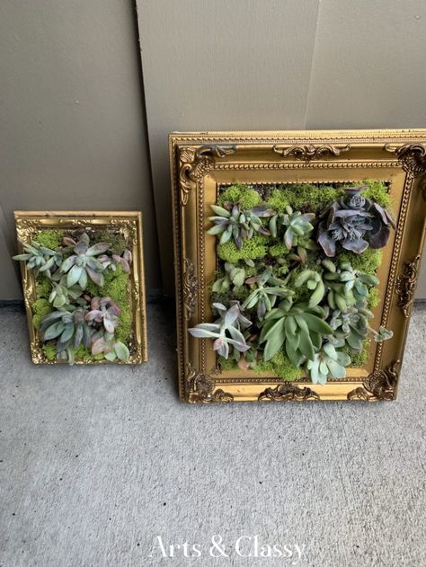 Living Frames Plants, Succulent Frame Diy, Living Picture Frame, Plants In Picture Frames, Framed Succulent Wall Decor, Framed Moss Wall Art Diy, Succulent Frame Wall Hangings, Plants In Frames, Plant In Frame