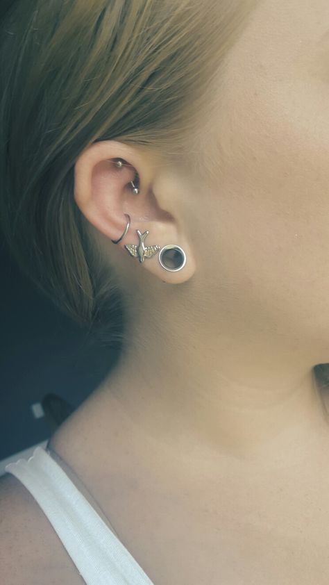 Ear piercings. Rook, conch, second hole and stretched lobes! Second Lobe Stretched, Stretching Ear Lobes, Stretched Ear Lobes, Stretched Lobes, Second Piercing, Piercing Ideas, Ear Gauges, Stretched Ears, Body Mods