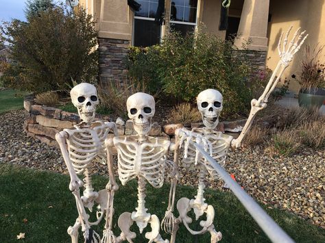 Skeleton Pics, Photography Funny, Funny Skeleton, Grunge Photography, Skeleton, Funny, Photography