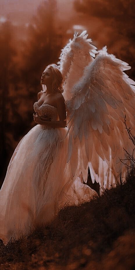 Angel Wings Photoshoot Ideas, Angel Photoshoot Ideas, Wings Photoshoot, Angel Wings Pictures, Angel Photoshoot, Fantasy Shoot, Angel Wings Photography, Goddess Photoshoot, Wings Photography