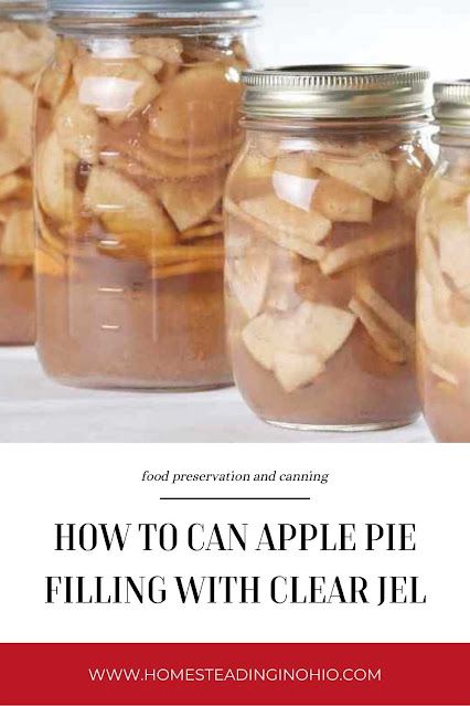 Apple Pie Filling for Canning + Tips for Using Clear Jel Apple Pie Filling For Canning, Can Apple Pie Filling, Canning Apple Pie Filling, Canned Apple Pie, Canning Apples, Apple Pie Filling Recipes, Canned Apple Pie Filling, Canning Recipe, Pie Filling Recipes