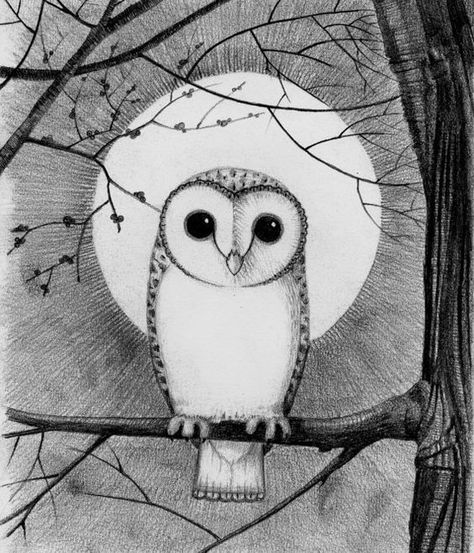 If you like our oak leaf pin & design, can you follow us ? Barn Owl Drawing, Cute Owl Drawing, Owl Drawings, Decorated Wall, Sketching Inspiration, Owl Sketch, Drawing Instructions, Owl Moon, Book Coffee